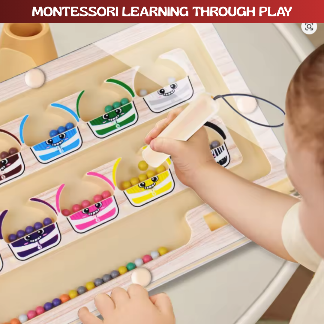 nylyCas™ Montessori Magnetic Monster Sorting Board