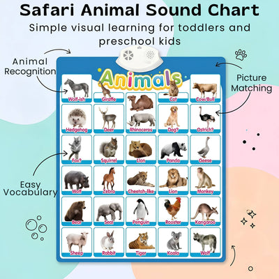 nylyCas™ Talking Alphabet Learning Wall Chart