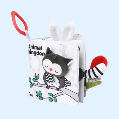 nylyCas™ Soft Educational Book