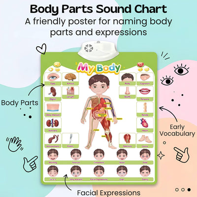nylyCas™ Talking Alphabet Learning Wall Chart