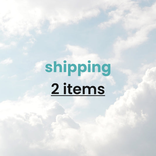 shipping 2 items